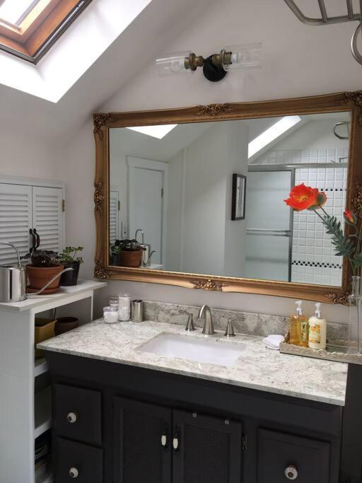 Urban Oasis In Hope Village Providence Luaran gambar