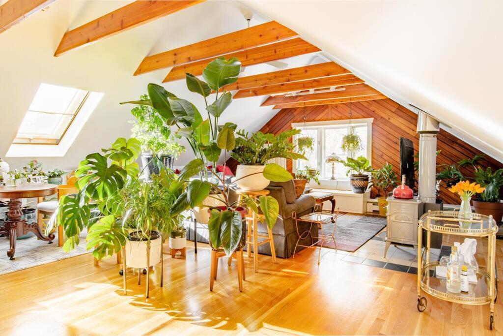 Urban Oasis In Hope Village Providence Luaran gambar