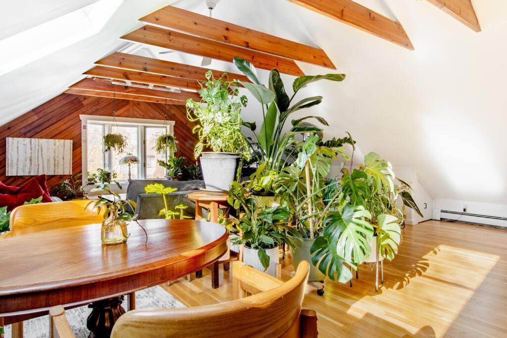 Urban Oasis In Hope Village Providence Luaran gambar
