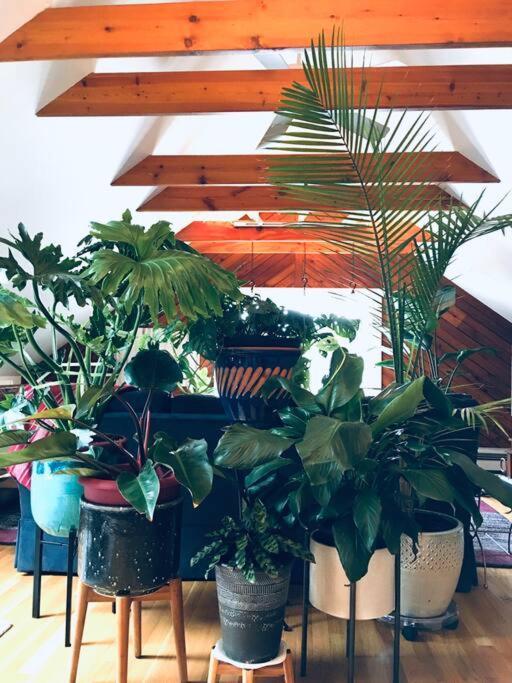Urban Oasis In Hope Village Providence Luaran gambar