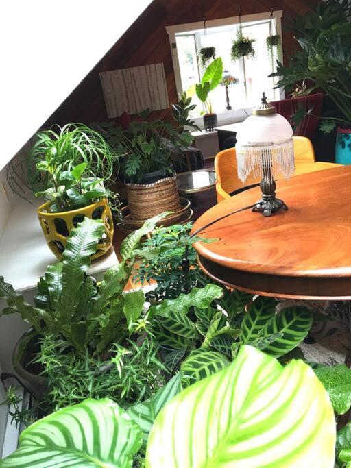 Urban Oasis In Hope Village Providence Luaran gambar