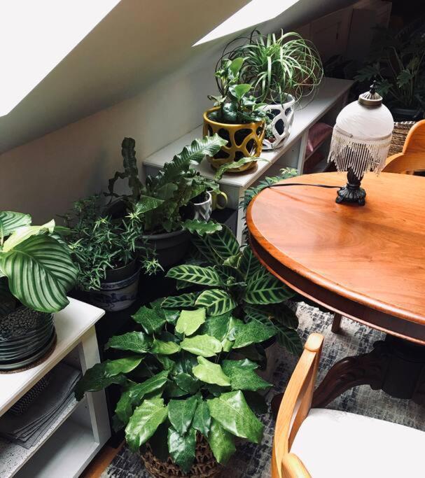 Urban Oasis In Hope Village Providence Luaran gambar